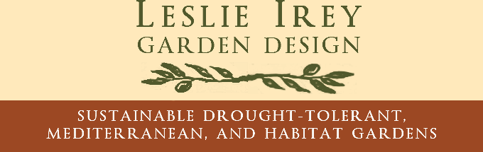 Leslie Irey Garden Design Redding, CA